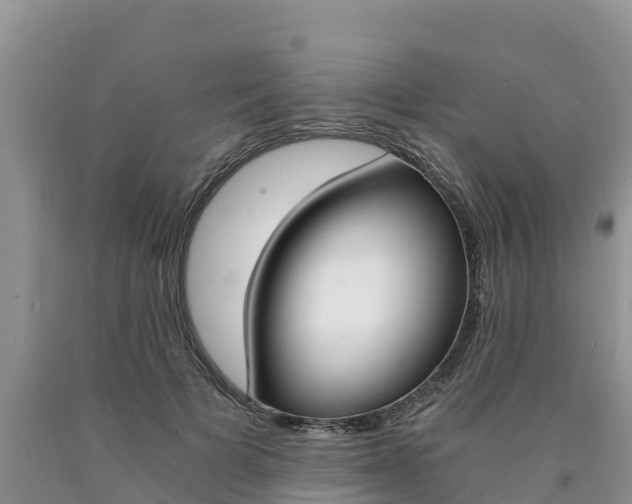 X0000090780697200707201135
