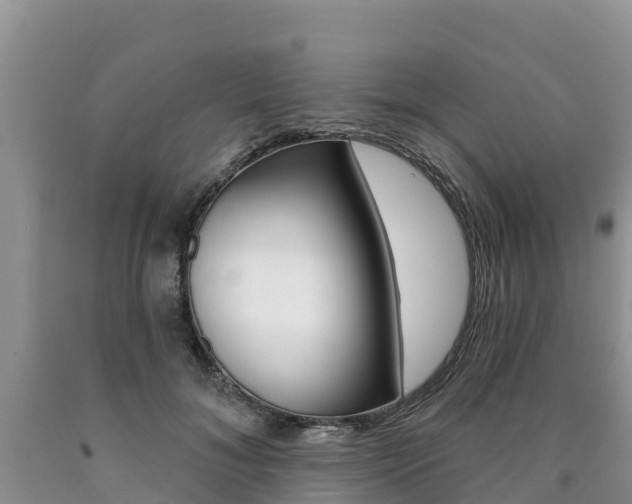 X0000090780700200707201135