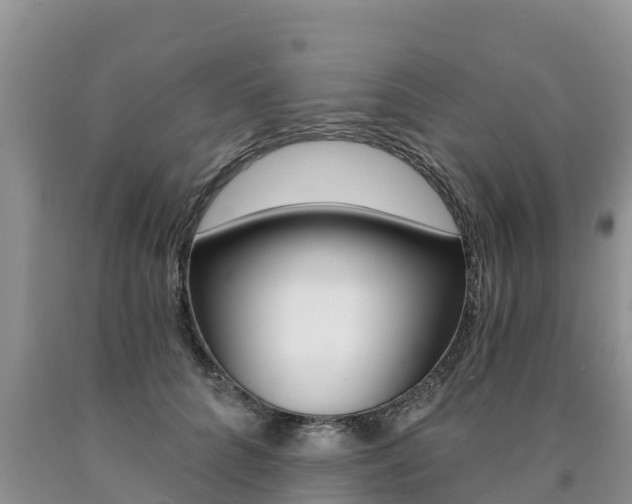 X0000090780704200707201135