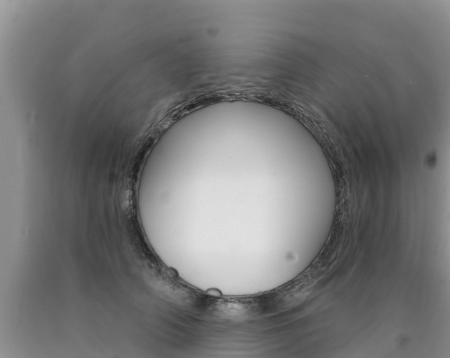 X0000090780706200707201135