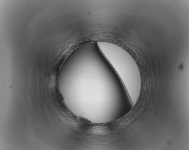 X0000090780708200707201135