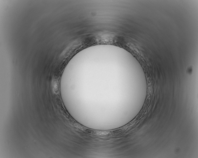 X0000090780709200707201135