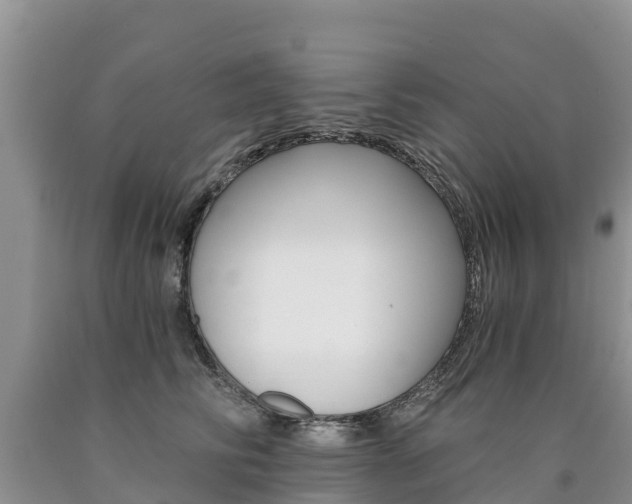 X0000090780710200707201135
