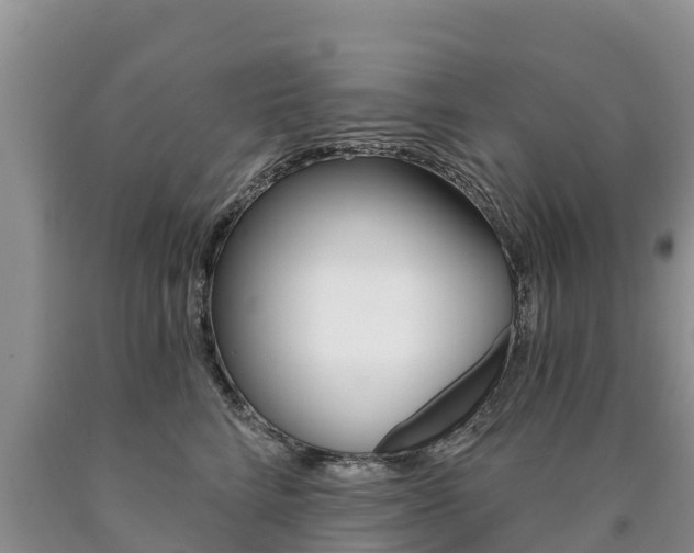 X0000090780712200707201135