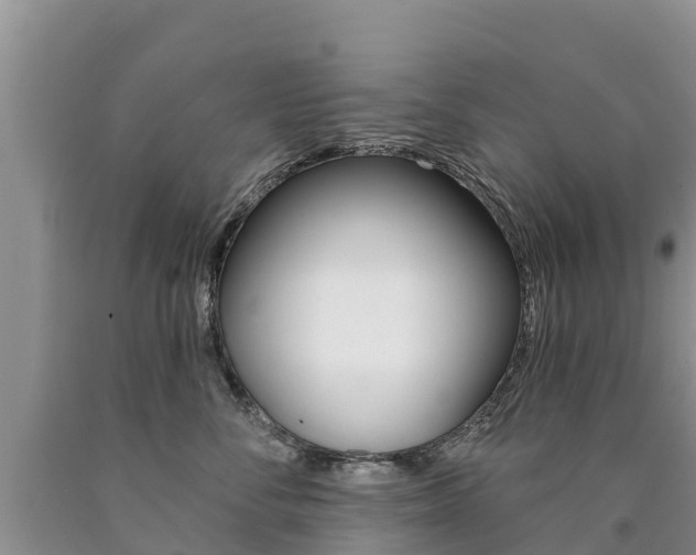 X0000090780716200707201135