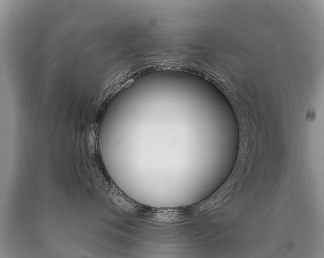 X0000090780720200707201135