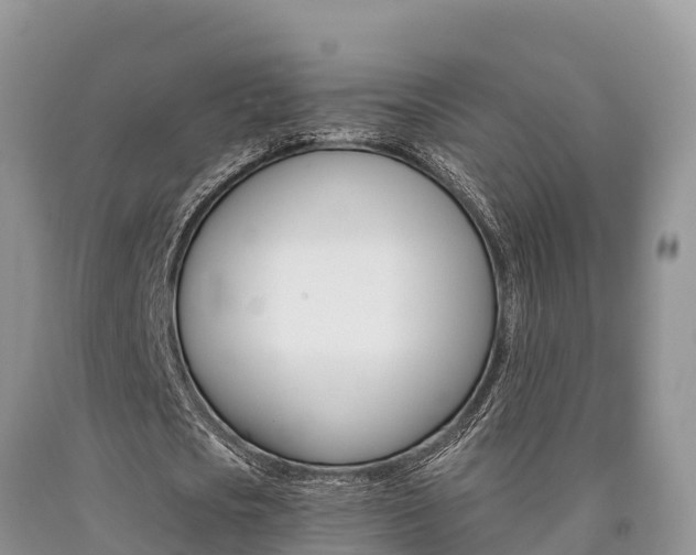 X0000090780721200707201134
