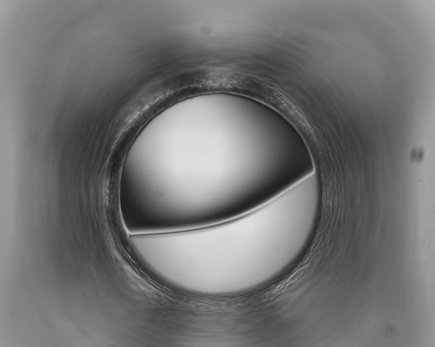 X0000090780722200707201134