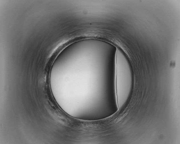 X0000090780723200707201134