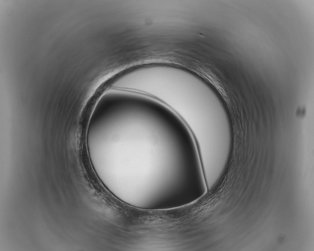 X0000090780724200707201134