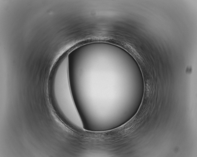X0000090780726200707201134