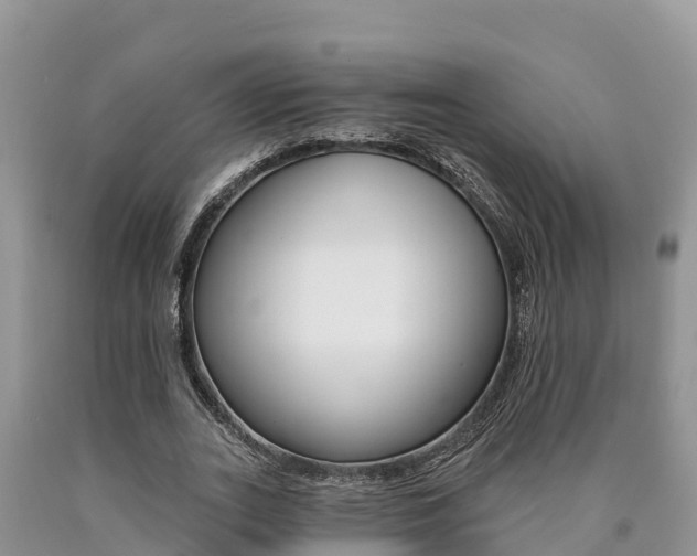 X0000090780727200707201134