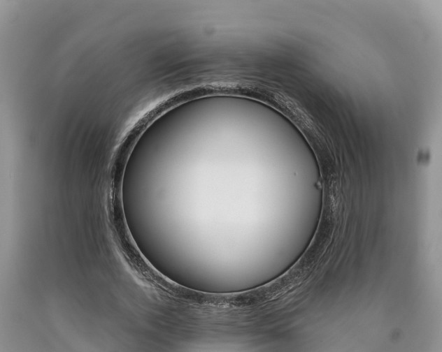 X0000090780728200707201134