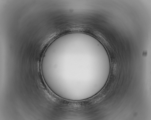 X0000090780729200707201134