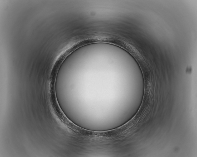 X0000090780730200707201134