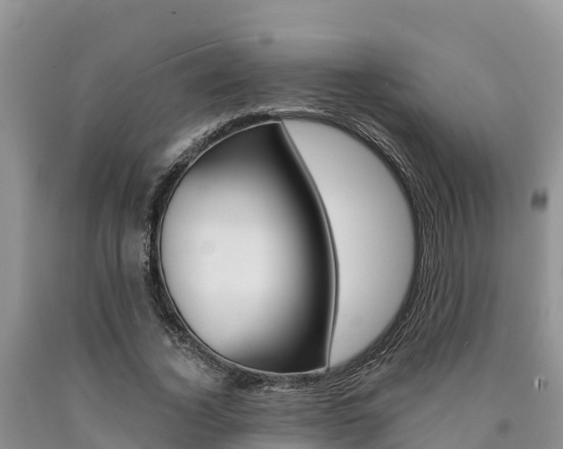X0000090780732200707201134