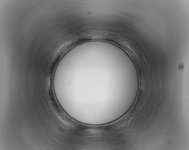 X0000090780733200707201134