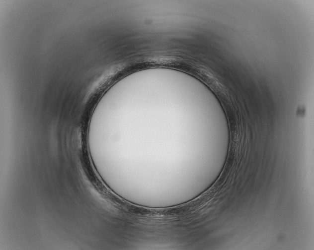 X0000090780734200707201134