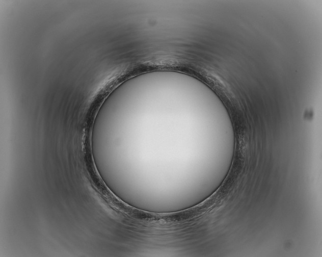 X0000090780735200707201134