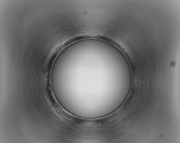 X0000090780736200707201134