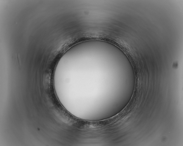 X0000090780739200707201134
