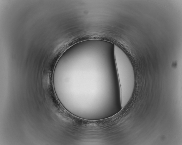 X0000090780740200707201134