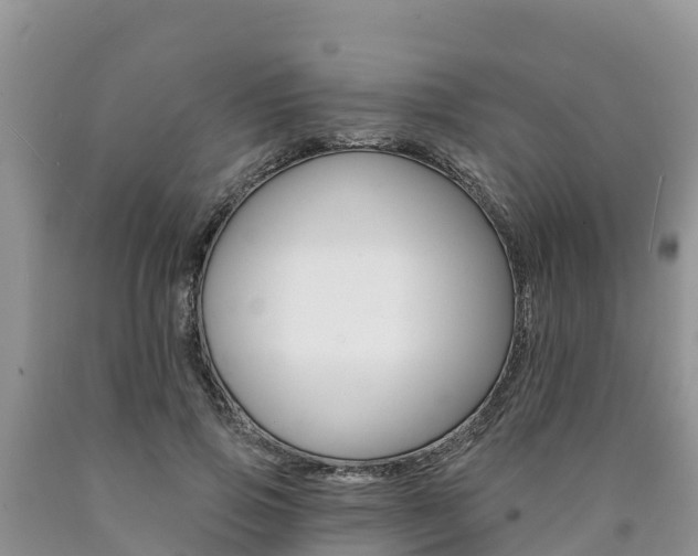 X0000090780741200707201134
