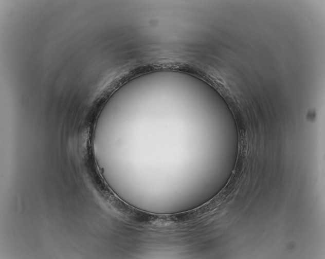 X0000090780742200707201134