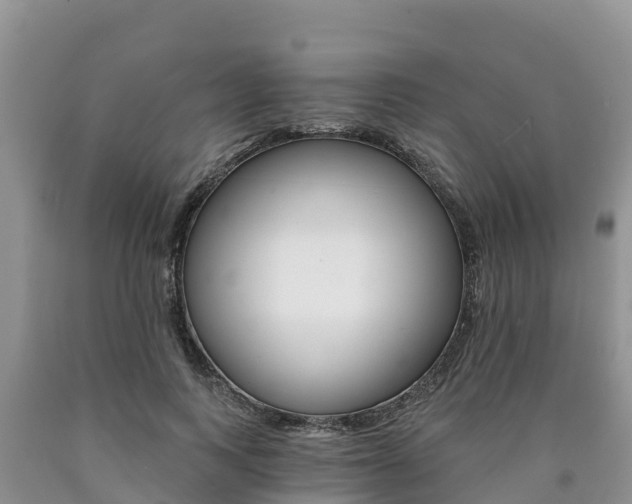X0000090780743200707201134