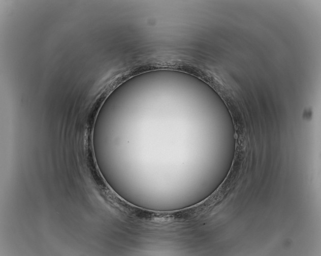 X0000090780744200707201134