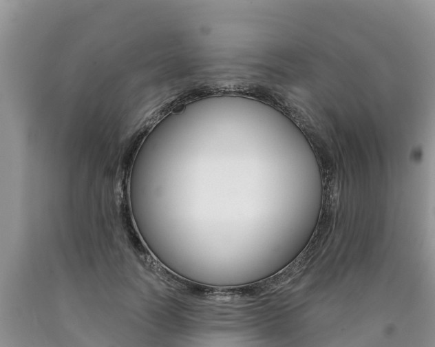 X0000090780746200707201134