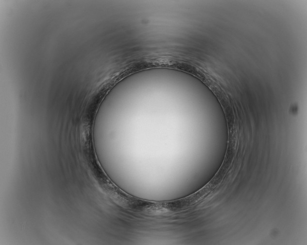 X0000090780747200707201134