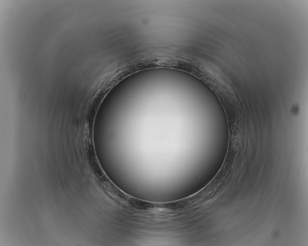 X0000090780748200707201134