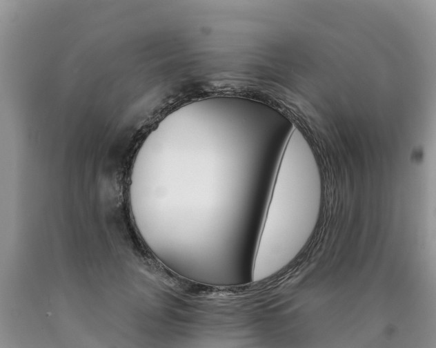X0000090780751200707201134