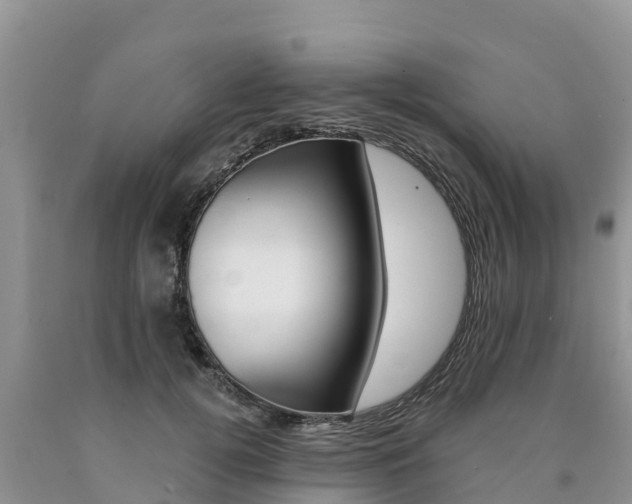 X0000090780752200707201134