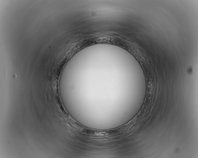 X0000090780753200707201134