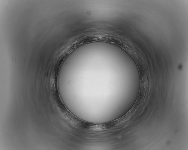 X0000090780754200707201134