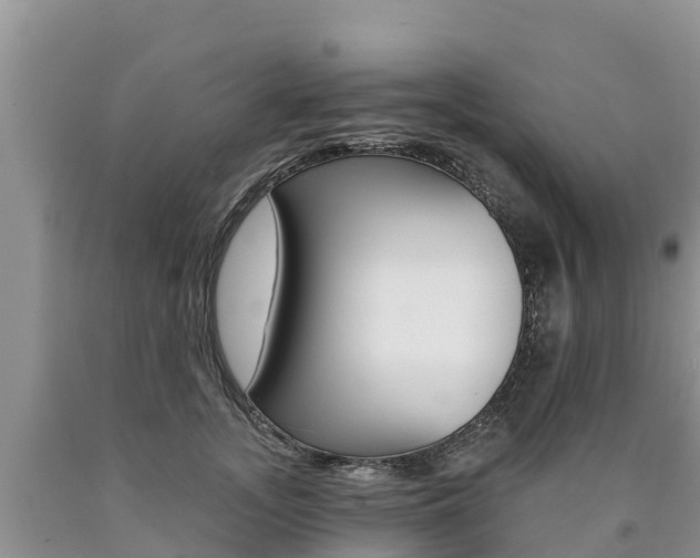 X0000090780755200707201134