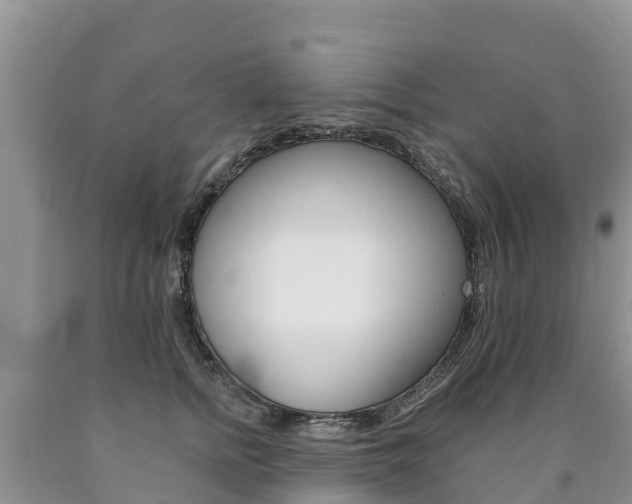 X0000090780758200707201134