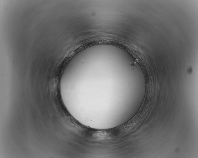 X0000090780759200707201134