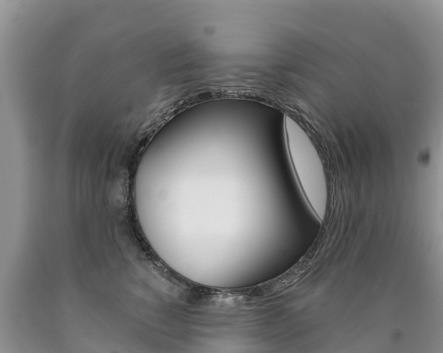 X0000090780760200707201135