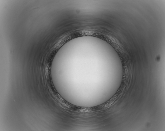 X0000090780761200707201135
