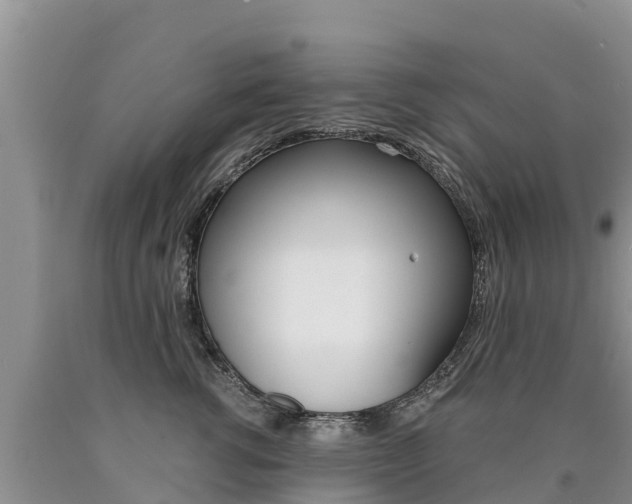 X0000090780762200707201135
