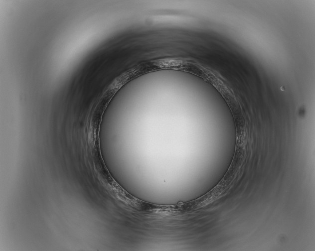 X0000090780763200707201135