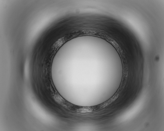 X0000090780765200707201135