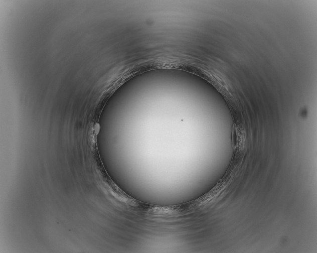 X0000090780766200707201135