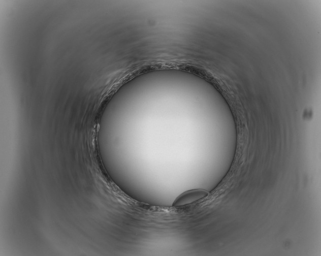 X0000090780768200707201135