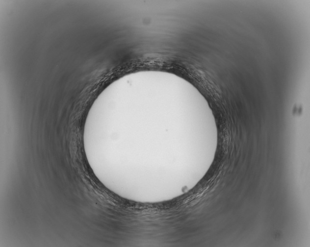 X0000090780769200707201134