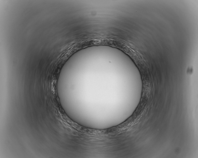 X0000090780770200707201134