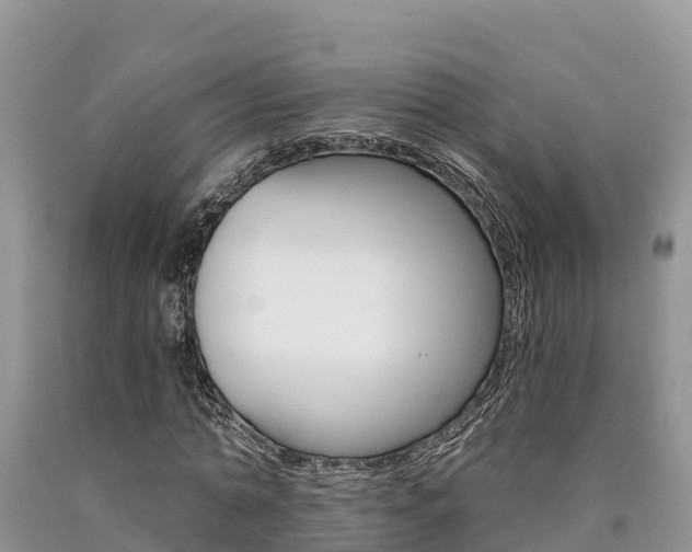 X0000090780774200707201134